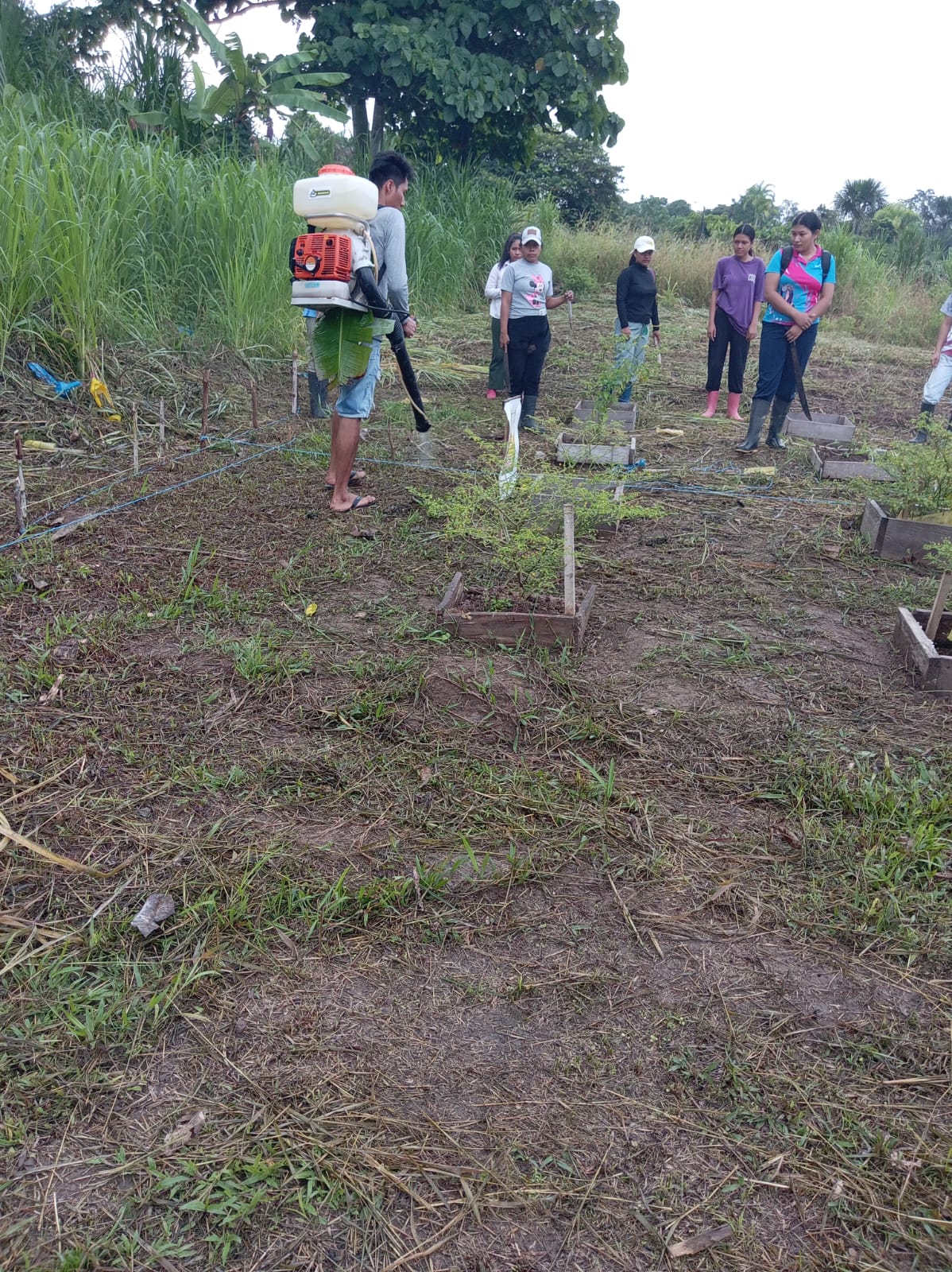 Programa de Producción Agropecuaria Actividades Campo Experimental  - 2