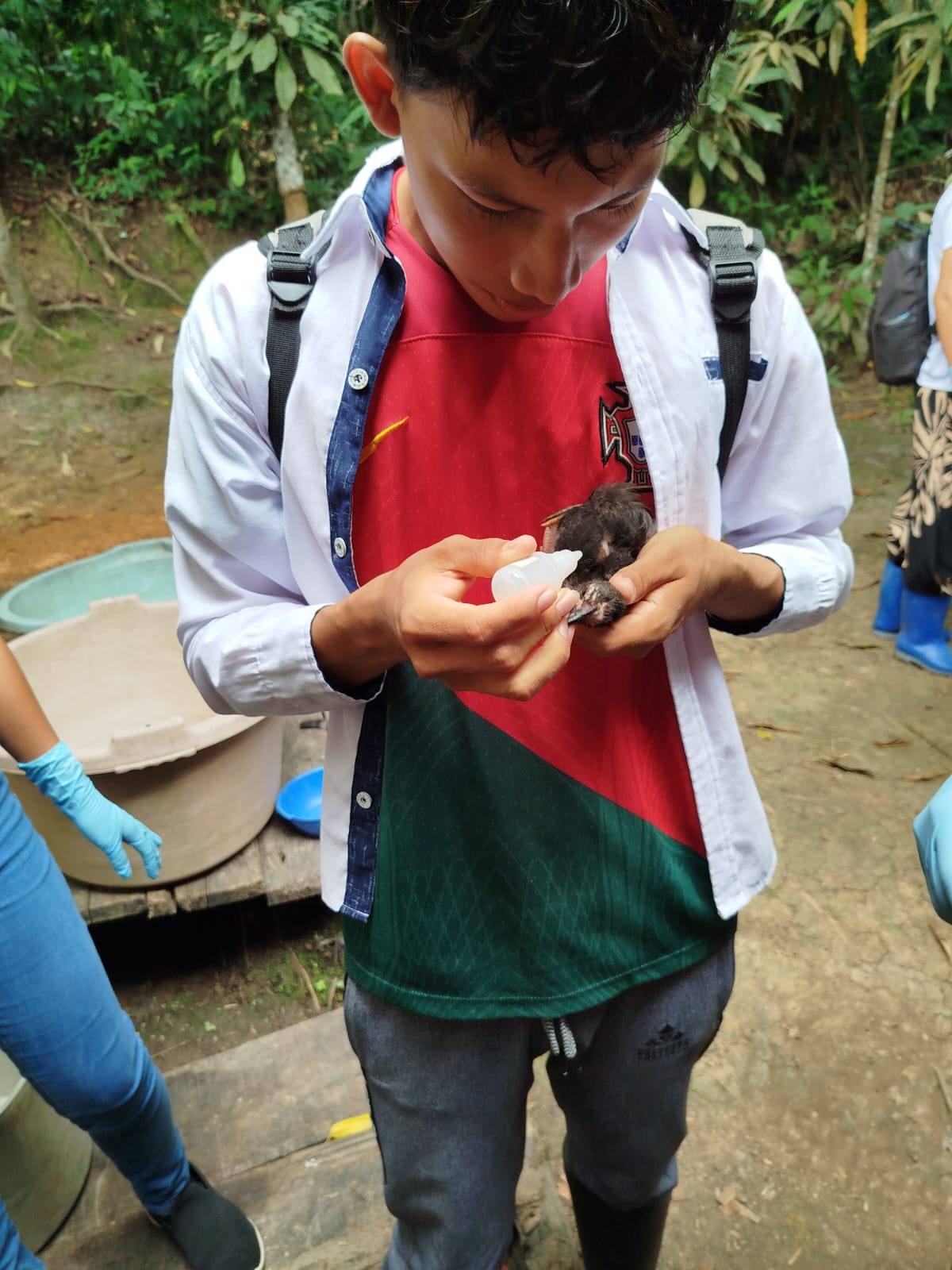 Programa de Estudio Producción Agropecuaria