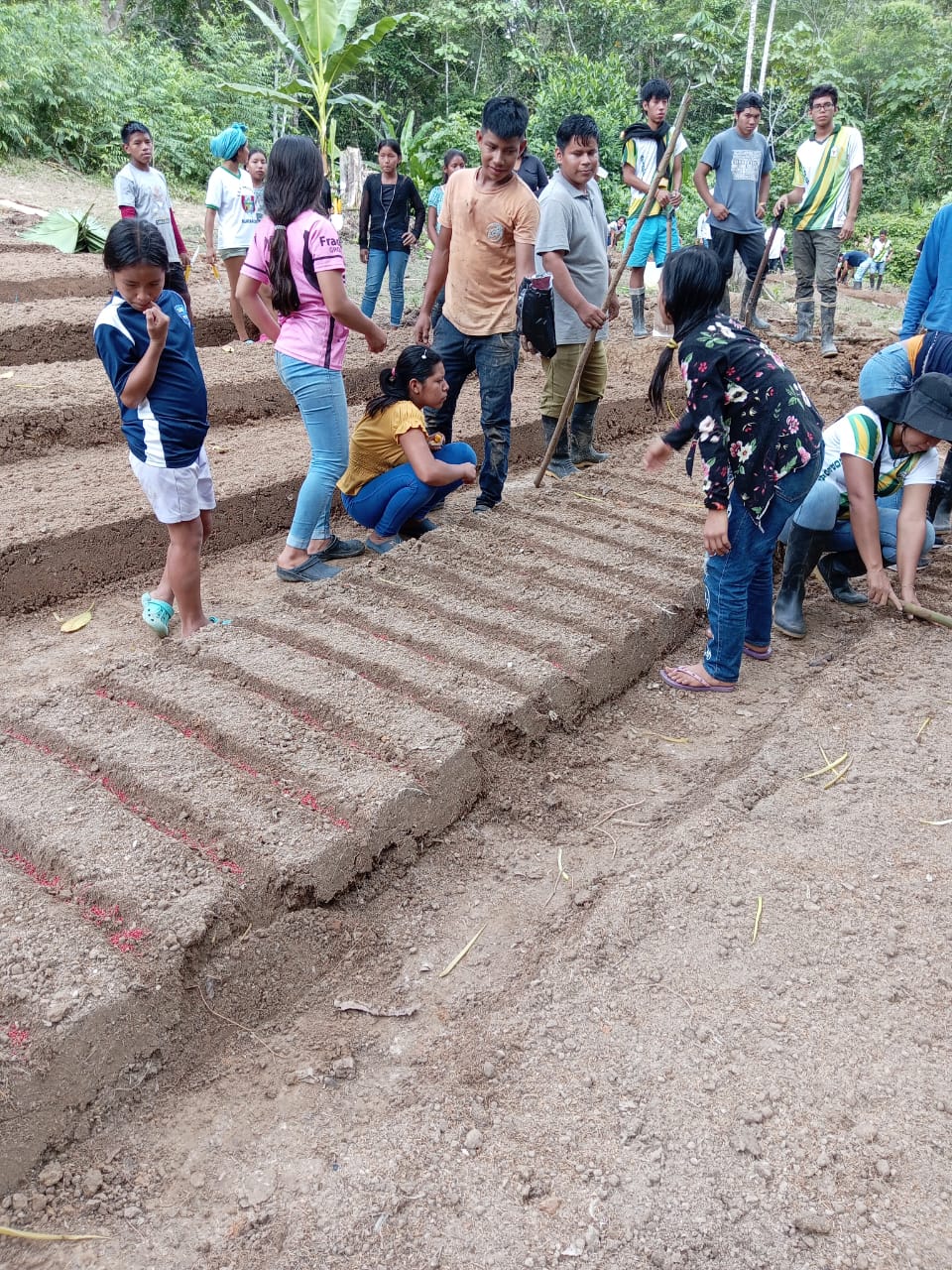 Programa de Estudio Producción Agropecuaria